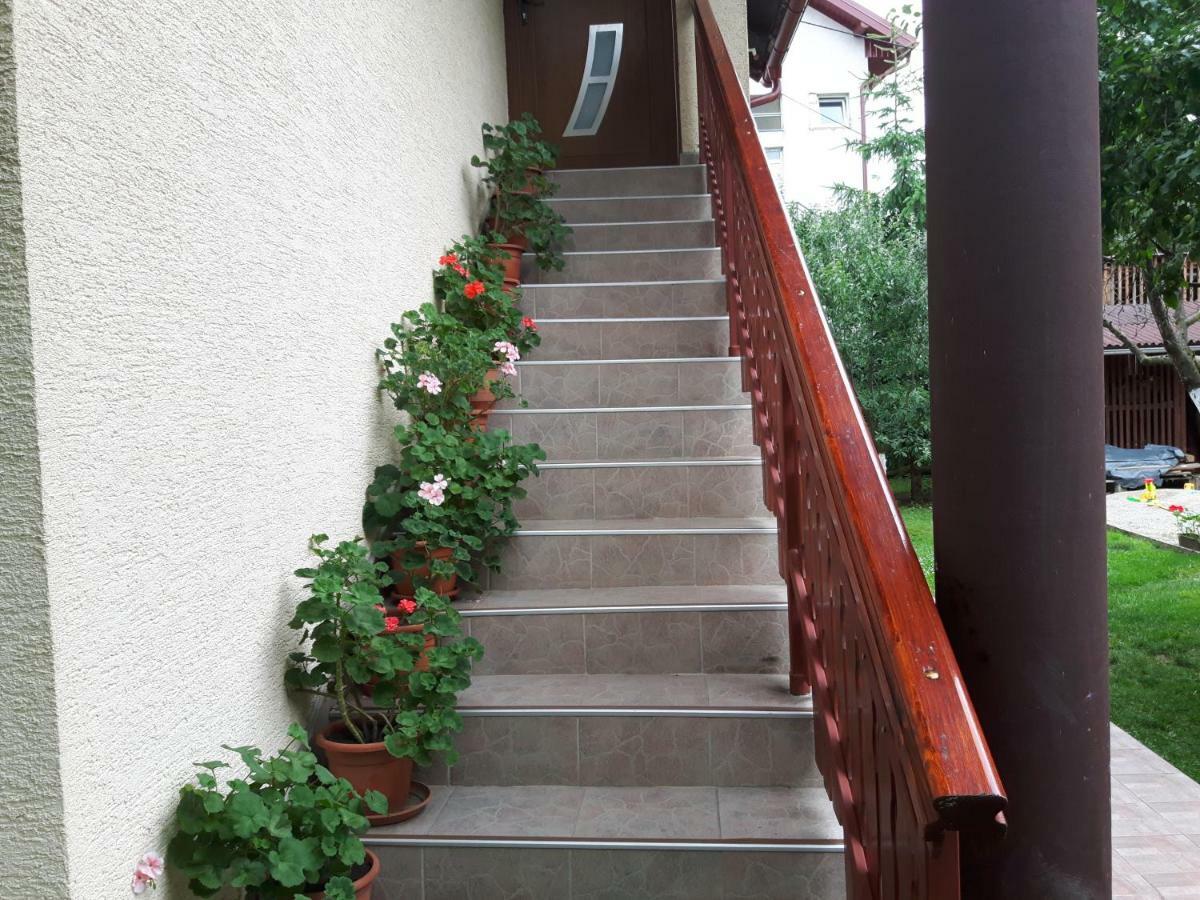 Apartman Petra & Tena Slunj Esterno foto