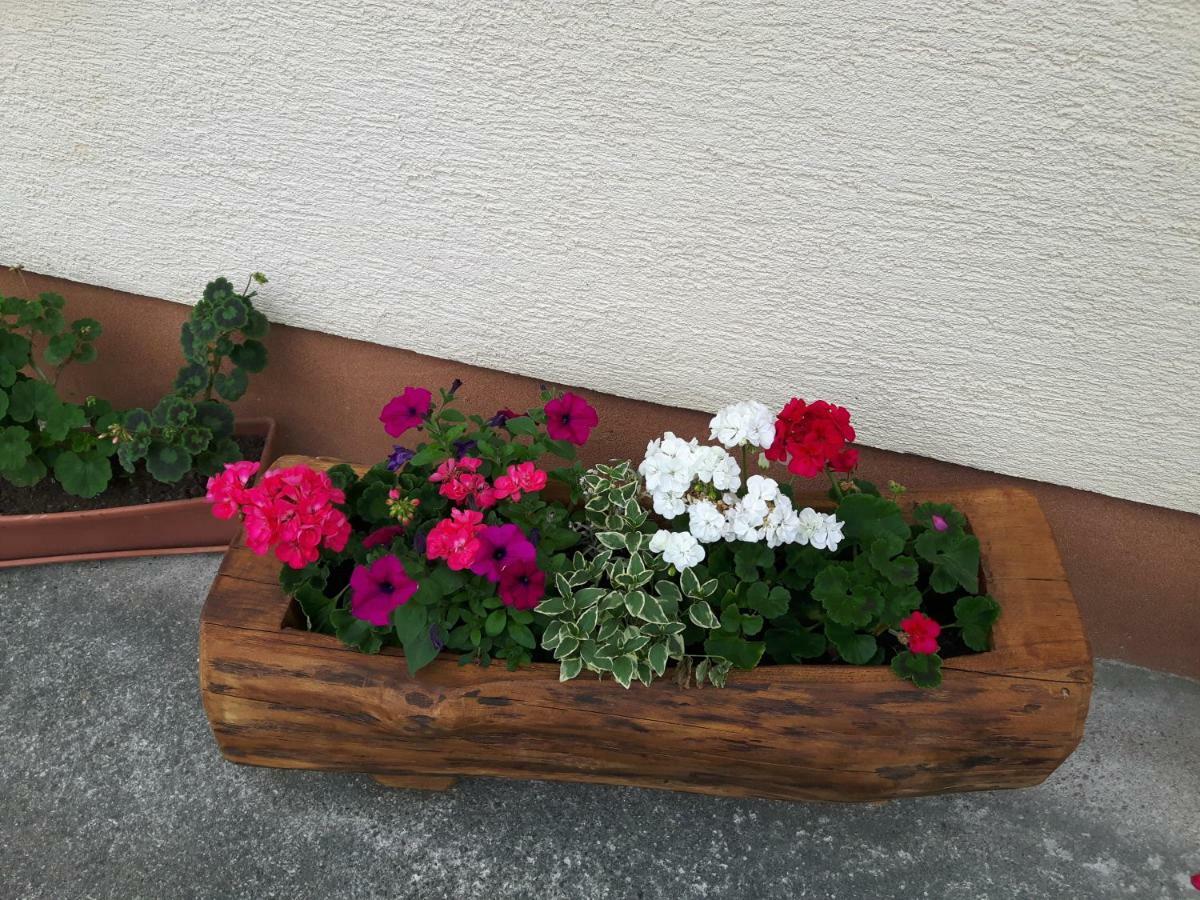 Apartman Petra & Tena Slunj Esterno foto