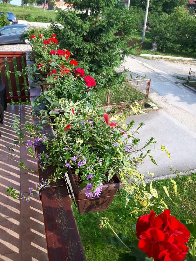 Apartman Petra & Tena Slunj Esterno foto